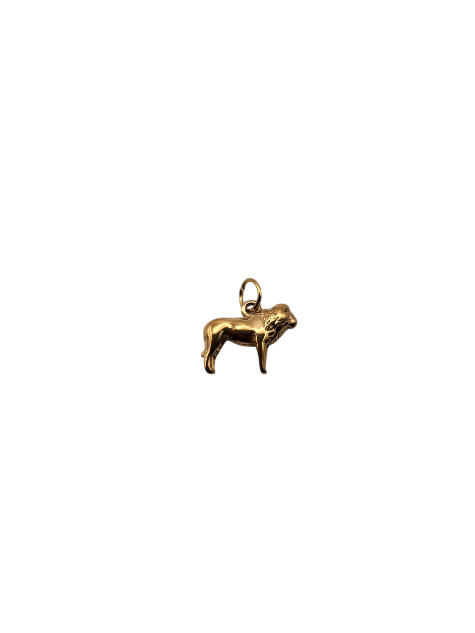 Lion Charm