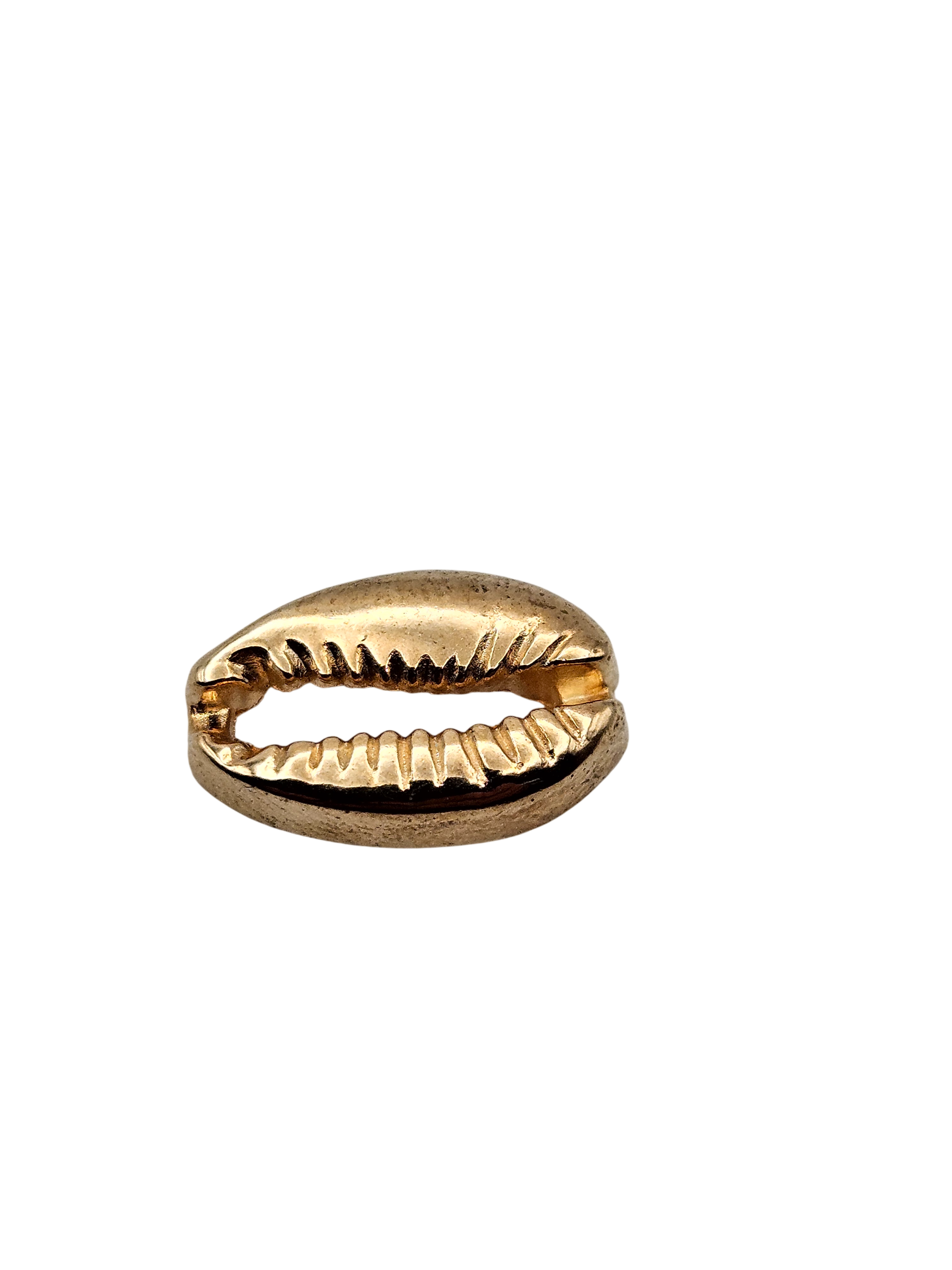 Large Cowry Shell Charm