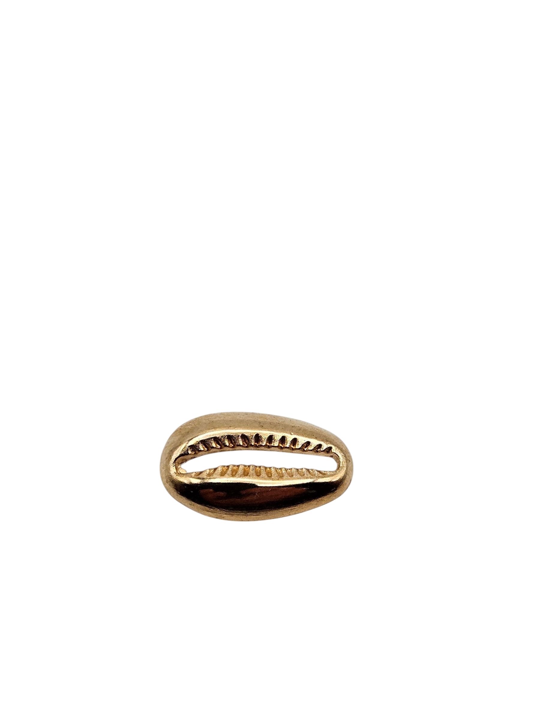 Cowry Shell Charm