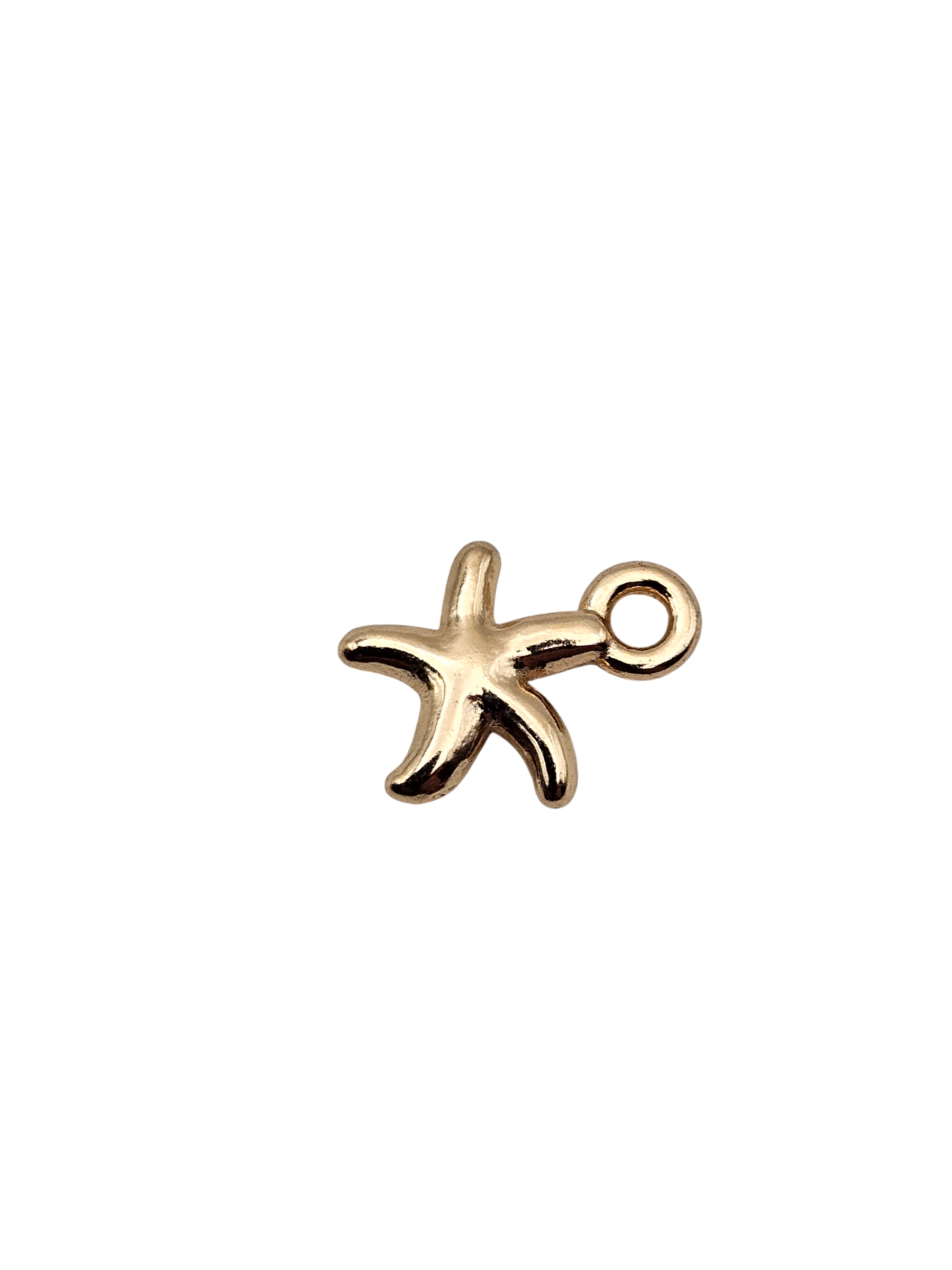 Tiny Starfish Charm