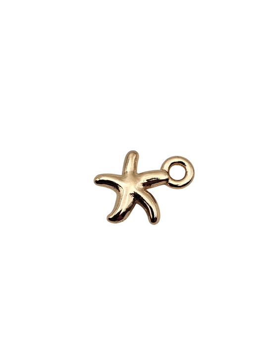 Tiny Starfish Charm