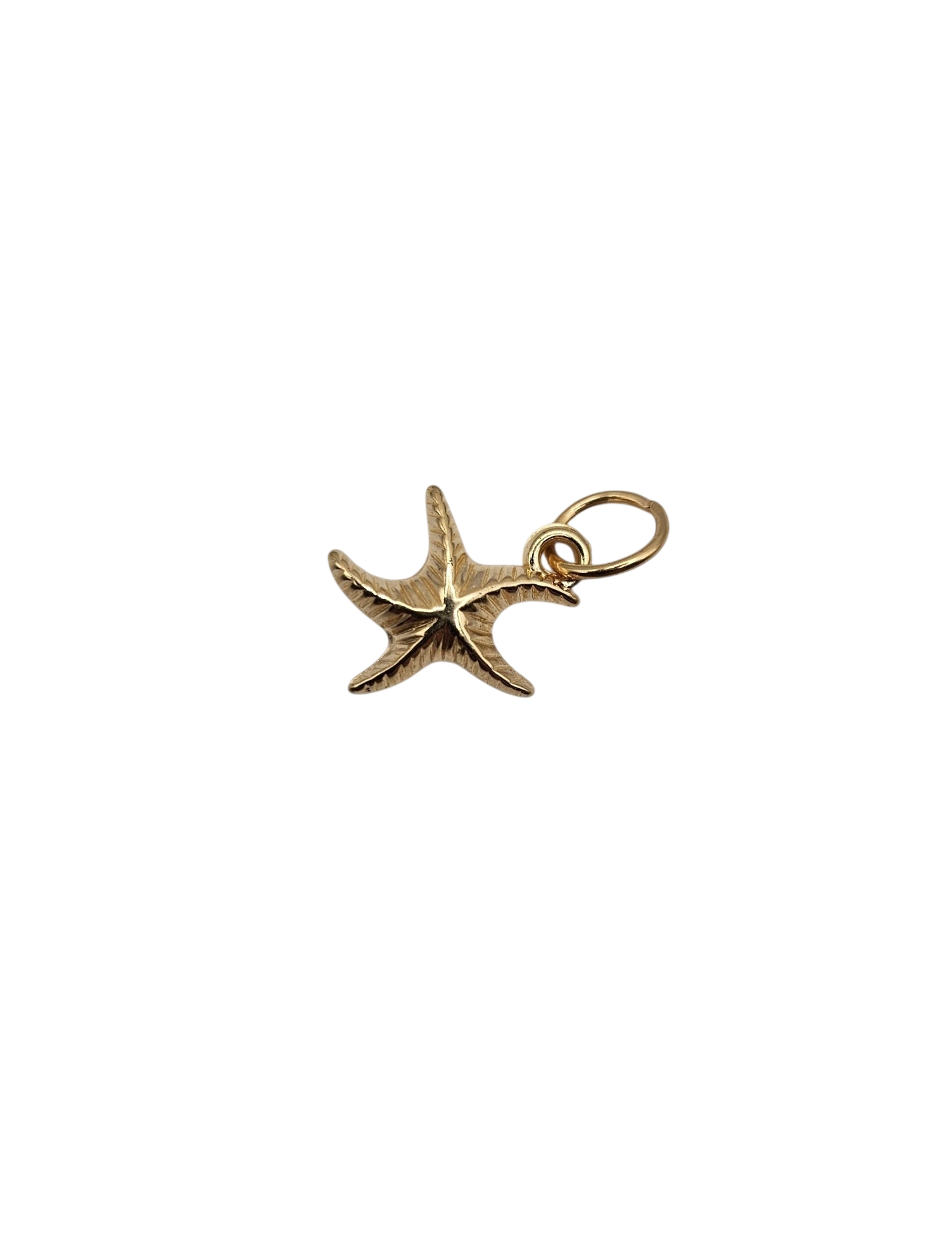Curvy Starfish Charm