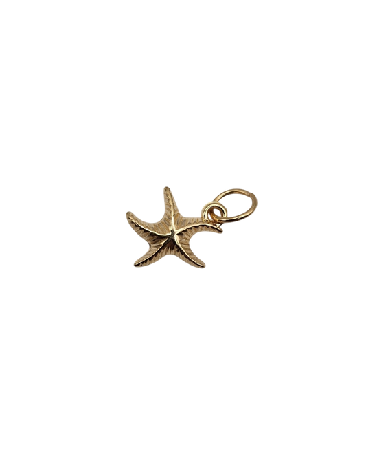 Curvy Starfish Charm
