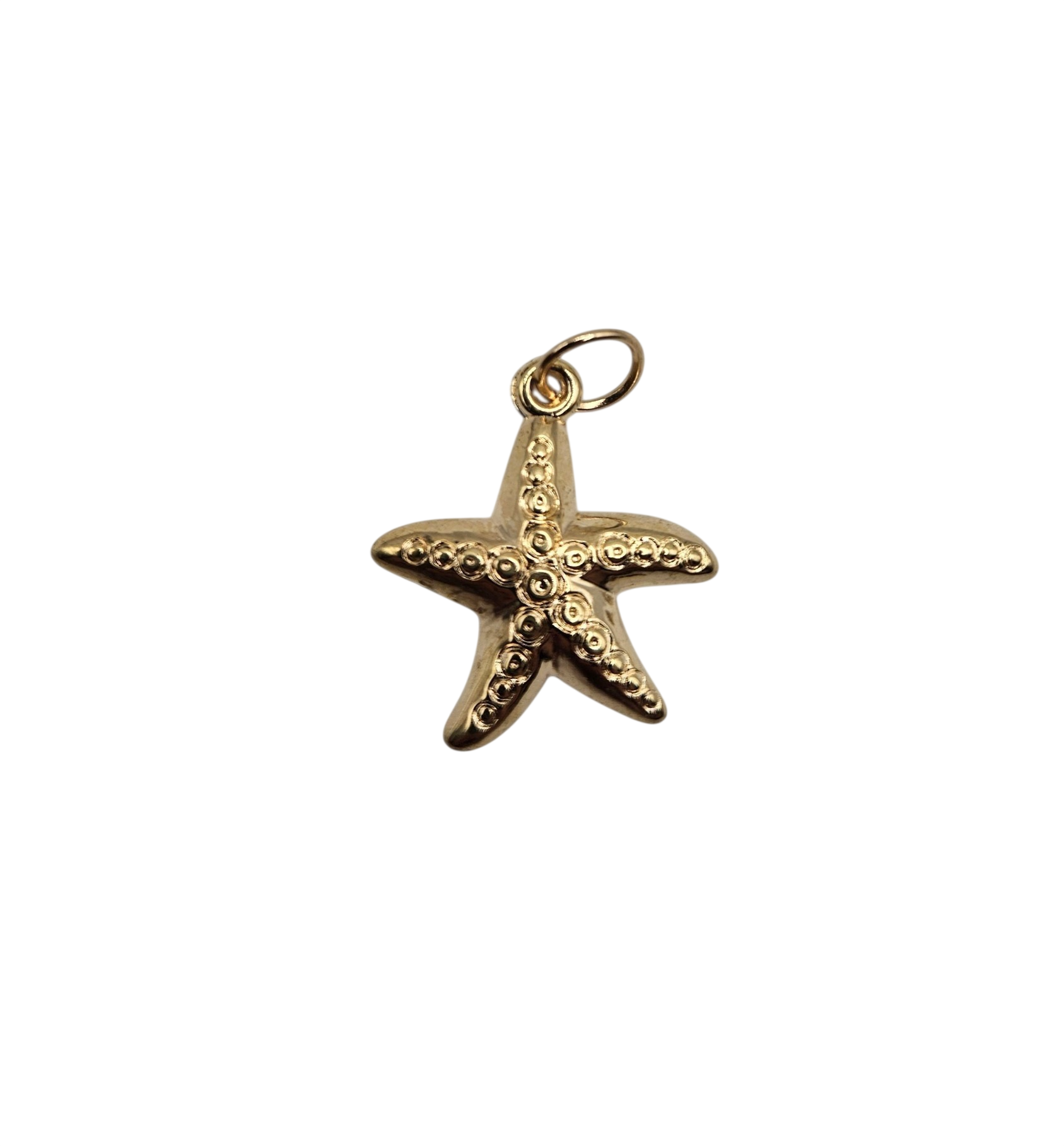 Large Starfish Charm