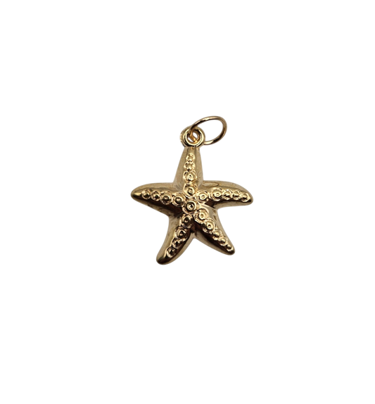 Large Starfish Charm