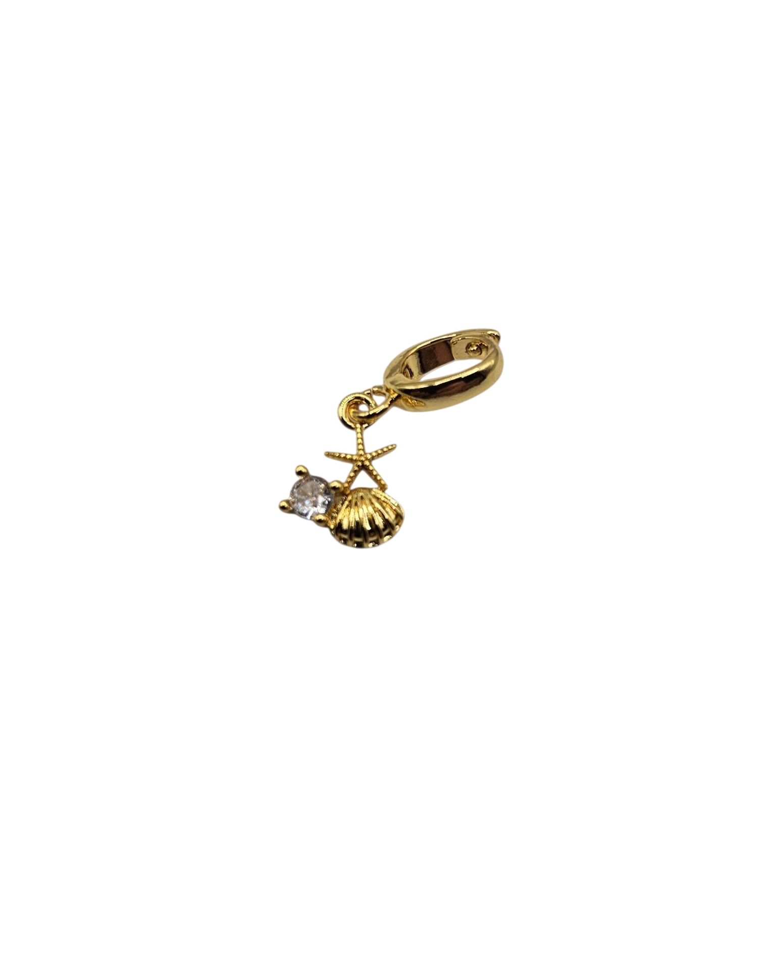 Starfish with Clam Charm