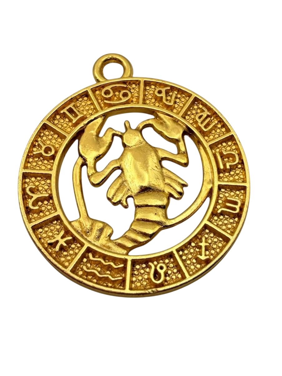 Zodiac Sign Charm