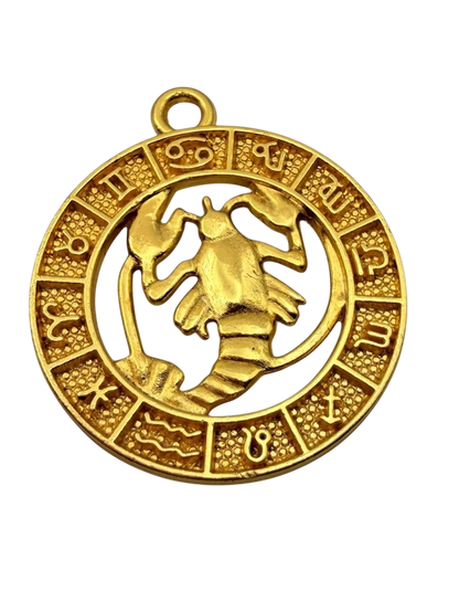 Zodiac Sign Charm