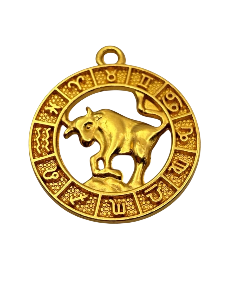 Zodiac Sign Charm