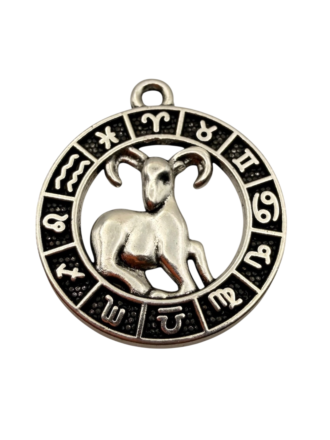 Zodiac Sign Charm