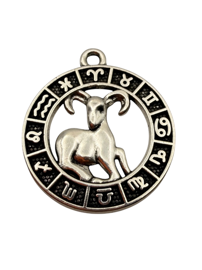 Zodiac Sign Charm