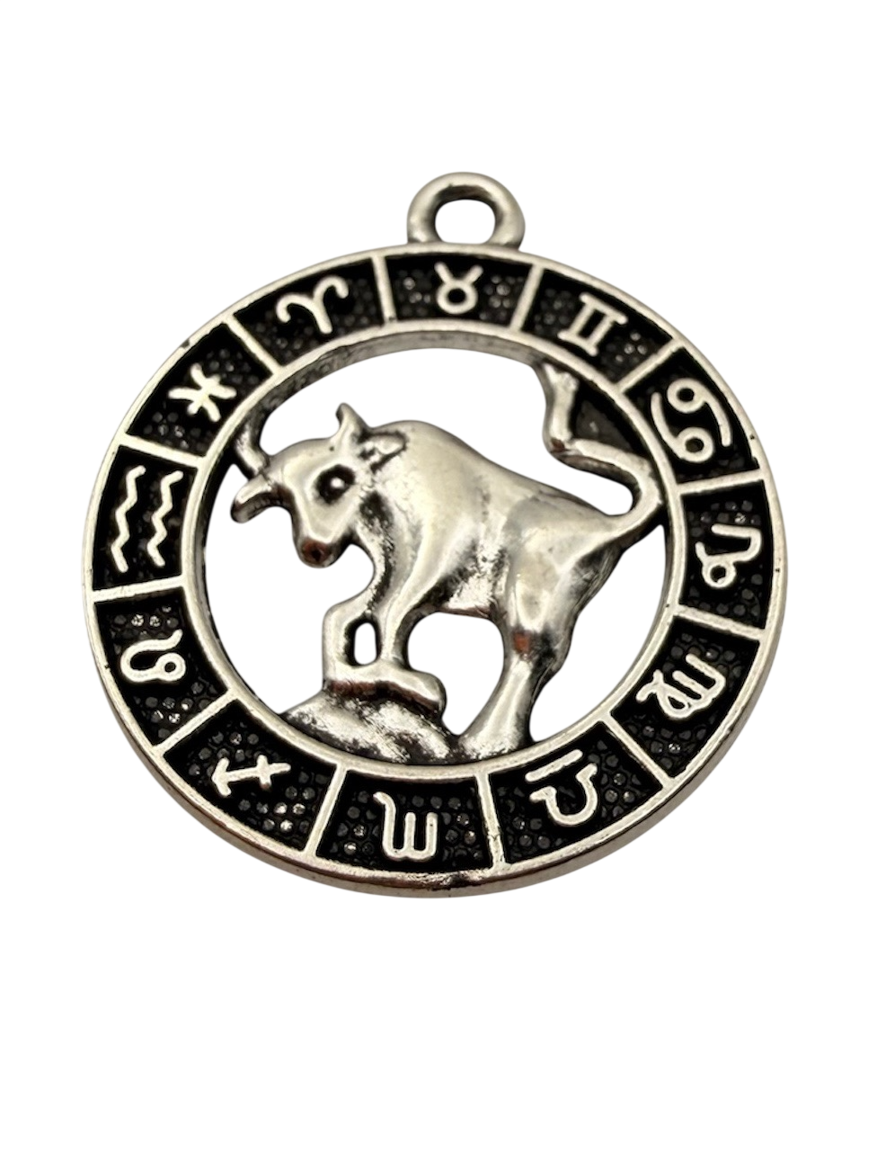 Zodiac Sign Charm