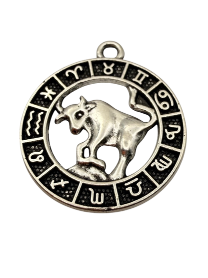 Zodiac Sign Charm