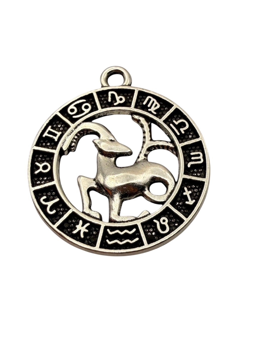 Zodiac Sign Charm