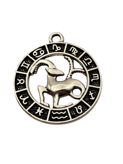 Zodiac Sign Charm