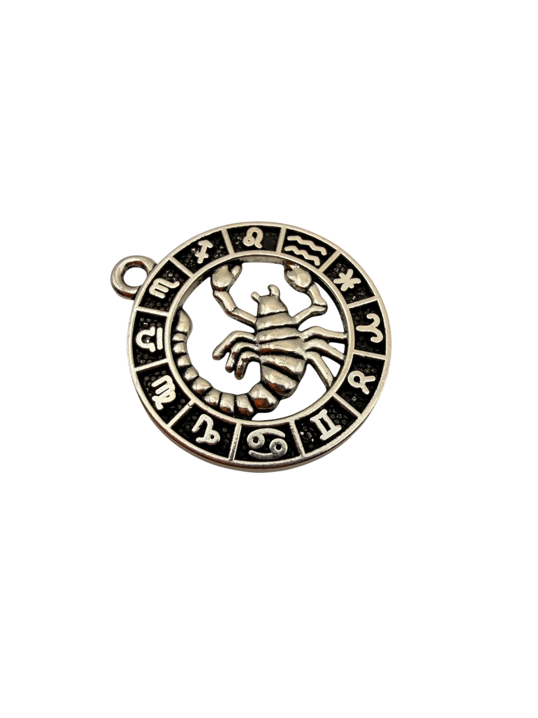 Zodiac Sign Charm