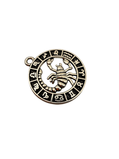 Zodiac Sign Charm