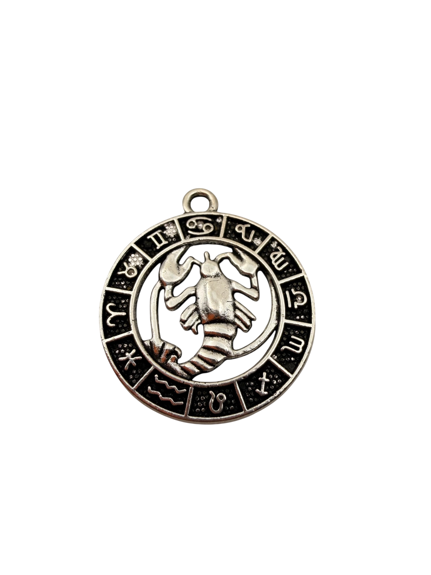Zodiac Sign Charm