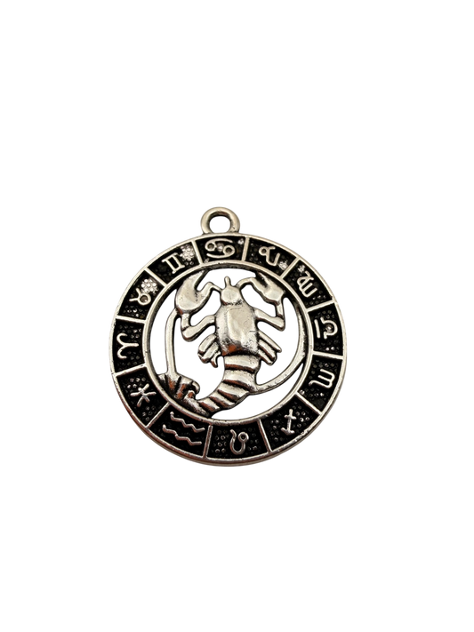 Zodiac Sign Charm