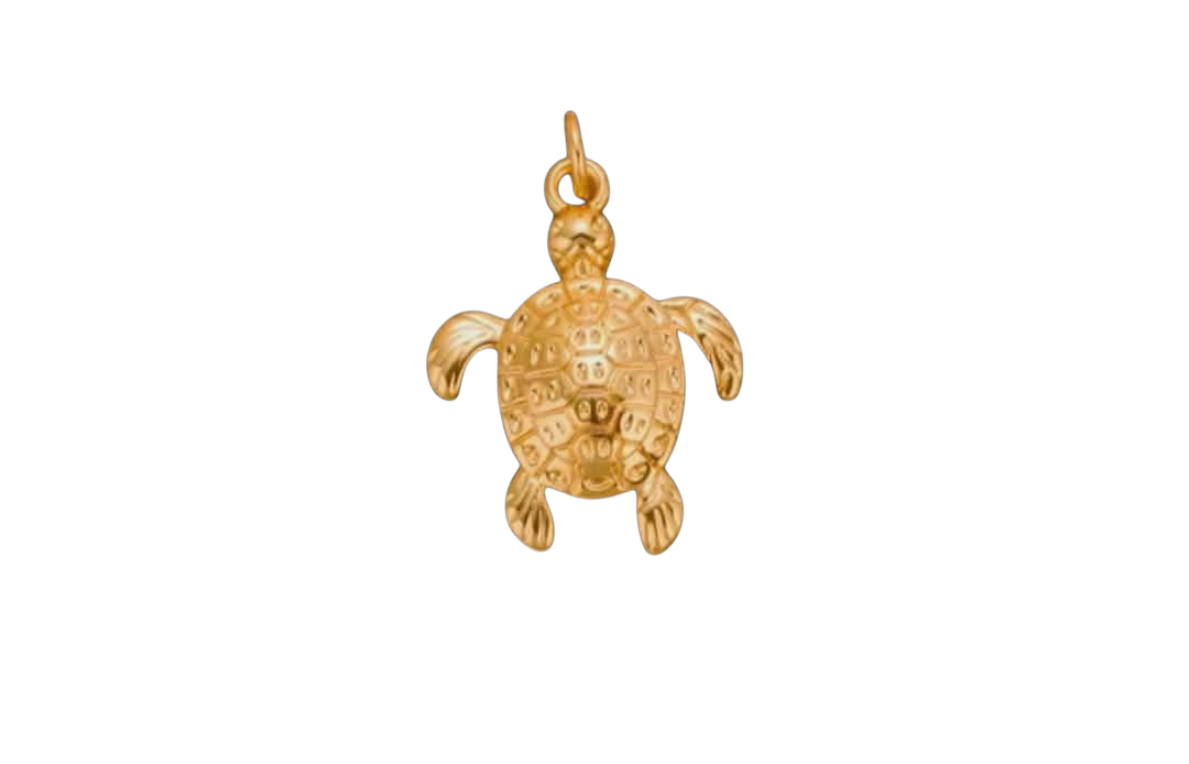Sea Turtle Charm