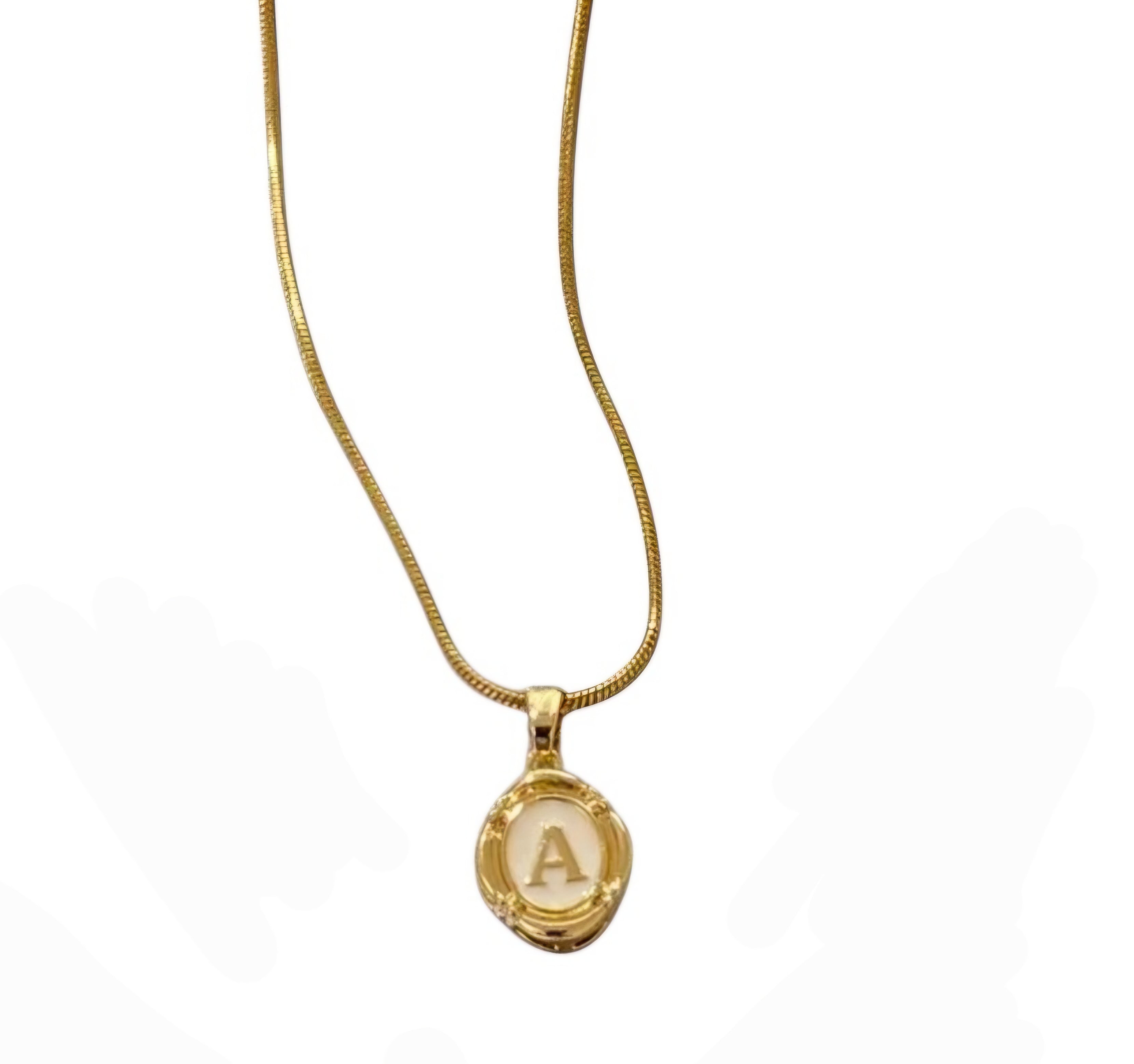 Round Snake Chain Necklace