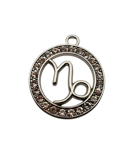 Zodiac Symbol Charm