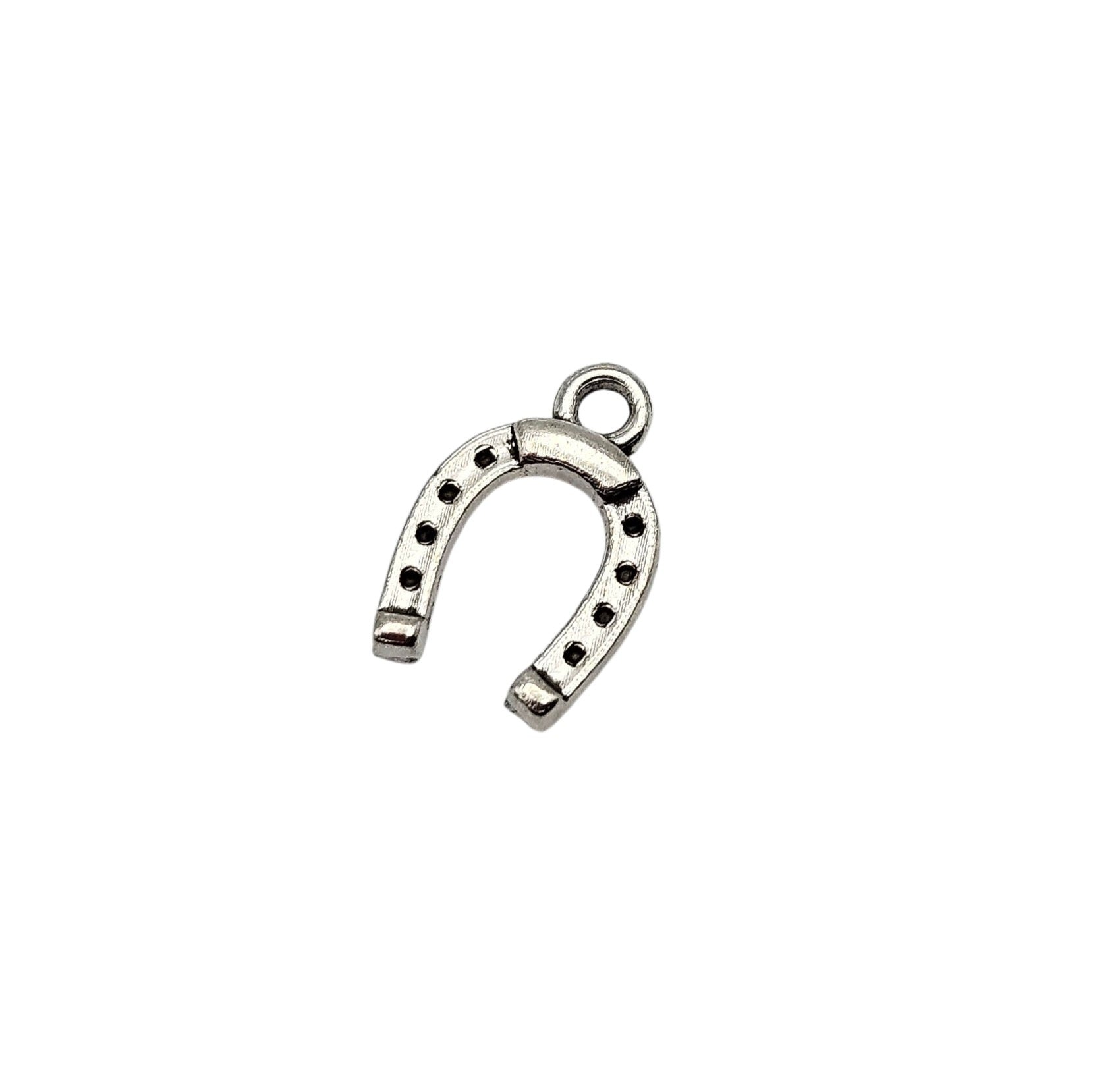 Horseshoe Charm
